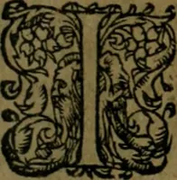 An illustration from Les lettres d'Estienne Pasquier, Conseiller & Advocat General du Roy à Paris : contenans plusieurs belles matieres & discours sur les affaires d'Estat de France, & touchant les guerres civiles (1619)