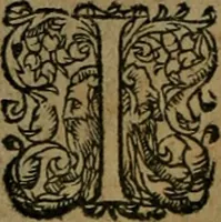 An illustration from Les lettres d'Estienne Pasquier, Conseiller & Advocat General du Roy à Paris : contenans plusieurs belles matieres & discours sur les affaires d'Estat de France, & touchant les guerres civiles (1619)