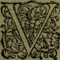 An illustration from Les lettres d'Estienne Pasquier, Conseiller & Advocat General du Roy à Paris : contenans plusieurs belles matieres & discours sur les affaires d'Estat de France, & touchant les guerres civiles (1619)