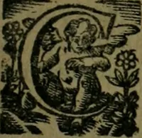 An illustration from Les lettres d'Estienne Pasquier, Conseiller & Advocat General du Roy à Paris : contenans plusieurs belles matieres & discours sur les affaires d'Estat de France, & touchant les guerres civiles (1619)