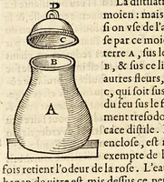 An illustration from Les Livres de Hierome Cardanus medecin milannois, intitules de la subtilité, & subtiles inuentions, : ensemble les causes occultes, & raisons d'icelles, (1556)