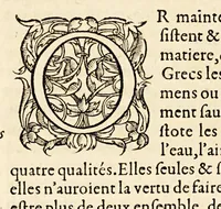 An illustration from Les Livres de Hierome Cardanus medecin milannois, intitules de la subtilité, & subtiles inuentions, : ensemble les causes occultes, & raisons d'icelles, (1556)
