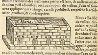 An illustration from Les Livres de Hierome Cardanus medecin milannois, intitules de la subtilité, & subtiles inuentions, : ensemble les causes occultes, & raisons d'icelles, (1556)