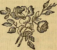 An illustration from Les élémens d'Euclide (1778)