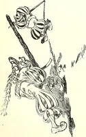 An illustration from Les maitres humoristes : les meilleurs dessins : les meilleurs légendes (1905)