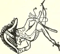 An illustration from Les maitres humoristes : les meilleurs dessins : les meilleurs légendes (1905)