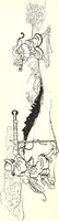 An illustration from Les maitres humoristes : les meilleurs dessins : les meilleurs légendes (1905)