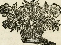 An illustration from Les meditations metaphysiqves de René Des-cartes, tovchant la premiere philosophie dans lesquelles l'existence de Dieu, & la distinction réelle entre l'ame & le corps de l'homme, sont demonstrées (1647)