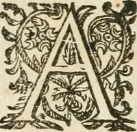An illustration from Les meditations metaphysiqves de René Des-cartes, tovchant la premiere philosophie dans lesquelles l'existence de Dieu, & la distinction réelle entre l'ame & le corps de l'homme, sont demonstrées (1647)