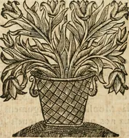 An illustration from Les meditations metaphysiqves de René Des-cartes, tovchant la premiere philosophie dans lesquelles l'existence de Dieu, & la distinction réelle entre l'ame & le corps de l'homme, sont demonstrées (1647)
