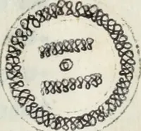 An illustration from Les meditations metaphysiqves de René Des-cartes, tovchant la premiere philosophie dans lesquelles l'existence de Dieu, & la distinction réelle entre l'ame & le corps de l'homme, sont demonstrées (1647)