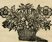 An illustration from Les meditations metaphysiqves de René Des-cartes, tovchant la premiere philosophie dans lesquelles l'existence de Dieu, & la distinction réelle entre l'ame & le corps de l'homme, sont demonstrées (1647)