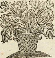 An illustration from Les meditations metaphysiqves de René Des-cartes, tovchant la premiere philosophie dans lesquelles l'existence de Dieu, & la distinction réelle entre l'ame & le corps de l'homme, sont demonstrées (1647)