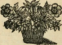An illustration from Les meditations metaphysiqves de René Des-cartes, tovchant la premiere philosophie dans lesquelles l'existence de Dieu, & la distinction réelle entre l'ame & le corps de l'homme, sont demonstrées (1647)