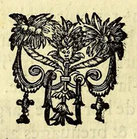 An illustration from Les Merueilles des Indes Orientales et Occidentales, ou Nouueau traitté des pierres precieuses & perles, contenant leur vraye nature, dureté, couleurs & vertus : chacune placée selon son ordre & degré, suiuant la cognoissance des marchands orpheures. : Auquel est adjousté vne petite table fort exacte, pour connoistre en vn instant à quel tiltre les marchands orpheures de Paris, & les autres dans toutes les principalles villes presque de toute l'Europe, trauaillent l'or & l'argent. (1661)