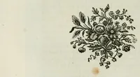 An illustration from Les metamorphoses d'Ovide : en Latin et en François (1767)