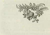 Picture 5 of 27 from Les metamorphoses d'Ovide : en Latin et en François (1767), leaf 100