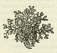 Picture 7 of 27 from Les metamorphoses d'Ovide : en Latin et en François (1767), leaf 141