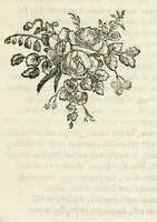 Picture 9 of 27 from Les metamorphoses d'Ovide : en Latin et en François (1767), leaf 157