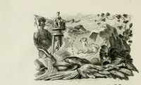 Picture 1 of 27 from Les metamorphoses d'Ovide : en Latin et en François (1767), leaf 16