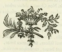 Picture 16 of 27 from Les metamorphoses d'Ovide : en Latin et en François (1767), leaf 255