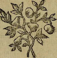 An illustration from Les misotechnites aux enfers, ou, Examen des observations sur les arts (1763)