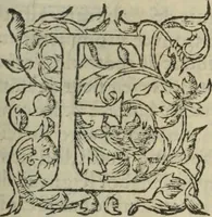 An illustration from Les Mémoires de Messire Martin Du Bellay, seigneur de Langey, ausquels l'autheur a inséré trois livres et quelques fragmens des Ogdoades de Guillaume Du Bellay (1571)