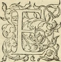An illustration from Les Mémoires de Messire Martin Du Bellay, seigneur de Langey, ausquels l'autheur a inséré trois livres et quelques fragmens des Ogdoades de Guillaume Du Bellay (1571)
