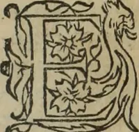 An illustration from Les Mémoires de Messire Martin Du Bellay, seigneur de Langey, ausquels l'autheur a inséré trois livres et quelques fragmens des Ogdoades de Guillaume Du Bellay (1571)