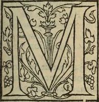 An illustration from Les Mémoires de Messire Martin Du Bellay, seigneur de Langey, ausquels l'autheur a inséré trois livres et quelques fragmens des Ogdoades de Guillaume Du Bellay (1571)