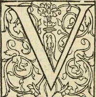An illustration from Les Mémoires de Messire Martin Du Bellay, seigneur de Langey, ausquels l'autheur a inséré trois livres et quelques fragmens des Ogdoades de Guillaume Du Bellay (1571)