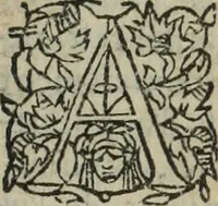 An illustration from Les Mémoires de Messire Martin Du Bellay, seigneur de Langey, ausquels l'autheur a inséré trois livres et quelques fragmens des Ogdoades de Guillaume Du Bellay (1571)