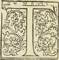 An illustration from Les Mémoires de Messire Martin Du Bellay, seigneur de Langey, ausquels l'autheur a inséré trois livres et quelques fragmens des Ogdoades de Guillaume Du Bellay (1571)
