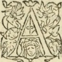 An illustration from Les Mémoires de Messire Martin Du Bellay, seigneur de Langey, ausquels l'autheur a inséré trois livres et quelques fragmens des Ogdoades de Guillaume Du Bellay (1571)
