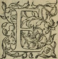 An illustration from Les Mémoires de Messire Martin Du Bellay, seigneur de Langey, ausquels l'autheur a inséré trois livres et quelques fragmens des Ogdoades de Guillaume Du Bellay (1571)