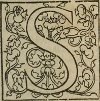 An illustration from Les Mémoires de Messire Martin Du Bellay, seigneur de Langey, ausquels l'autheur a inséré trois livres et quelques fragmens des Ogdoades de Guillaume Du Bellay (1571)