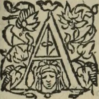 An illustration from Les Mémoires de Messire Martin Du Bellay, seigneur de Langey, ausquels l'autheur a inséré trois livres et quelques fragmens des Ogdoades de Guillaume Du Bellay (1571)