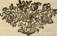 An illustration from Les mémoires de messire Roger de Rabutin comte de Bussy, lieutenant general des armeés du roy .. (1696)