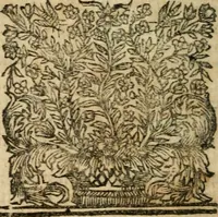 An illustration from Les mémoires de messire Roger de Rabutin comte de Bussy, lieutenant general des armeés du roy .. (1696)