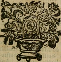 An illustration from Les mémoires de messire Roger de Rabutin comte de Bussy, lieutenant general des armeés du roy .. (1696)