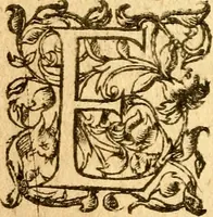 An illustration from Les mémoires de Philippe de Commines chevalier seigneur d'Argenton. Sur les principaux faicts et gestes de Loys XI et Charles VIII son fils, roys de France (1616)
