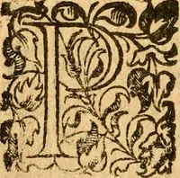 An illustration from Les mémoires de Philippe de Commines chevalier seigneur d'Argenton. Sur les principaux faicts et gestes de Loys XI et Charles VIII son fils, roys de France (1616)