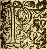An illustration from Les mémoires de Philippe de Commines chevalier seigneur d'Argenton. Sur les principaux faicts et gestes de Loys XI et Charles VIII son fils, roys de France (1616)