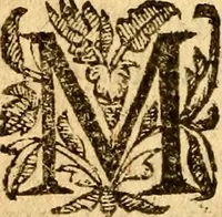 An illustration from Les mémoires de Philippe de Commines chevalier seigneur d'Argenton. Sur les principaux faicts et gestes de Loys XI et Charles VIII son fils, roys de France (1616)