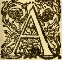 An illustration from Les mémoires de Philippe de Commines chevalier seigneur d'Argenton. Sur les principaux faicts et gestes de Loys XI et Charles VIII son fils, roys de France (1616)