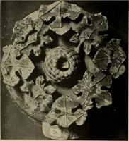 An illustration from Les musées d'Europe. La sculpture au Louvre; (1900)