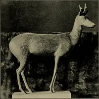 An illustration from Les musées d'Europe. La sculpture au Louvre; (1900)