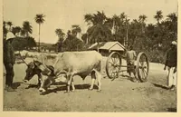 An illustration from Le Sénégal (1907)