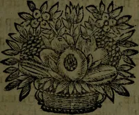 An illustration from Les novvelles oeuvres de Monsieur de Cyrano Bergerac : contenant l'histoire comique des estats & empires du soleil ; plusieurs lettres et autres pieces diuertissantes (1662)