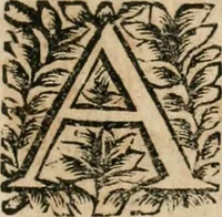 An illustration from Les oeuvres de maitre François Thevenin ... : contenans un Traité des operations de chirurgie, un Traité des tumeurs, & un Dictionnaire etymologique des mots grecs servans à la medecine : recüeillies par ... Guillavme Parthon .. (1691)